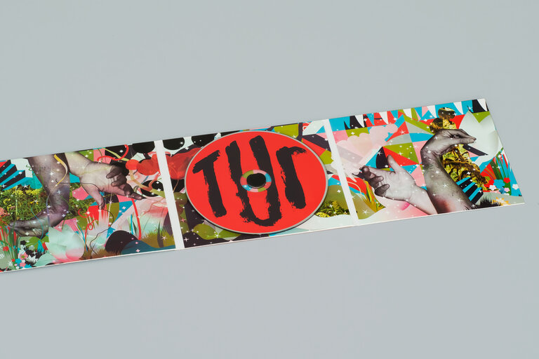 manual tur swans packaging