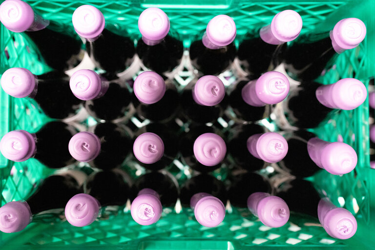 everywhere beer co wax bottles