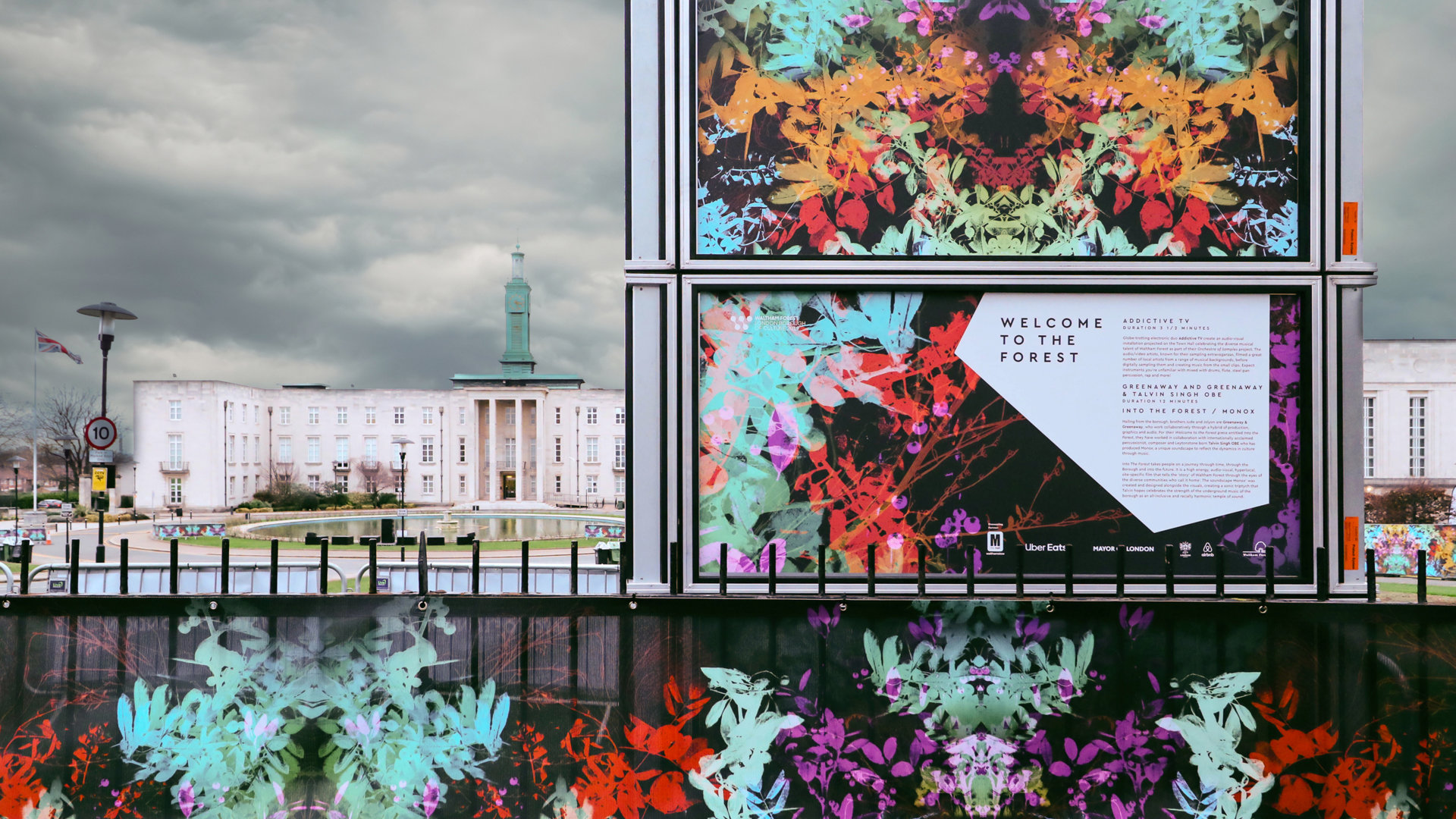 welcome to the forest branding