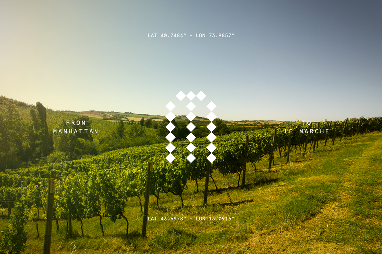 tenuta marino motif with vines