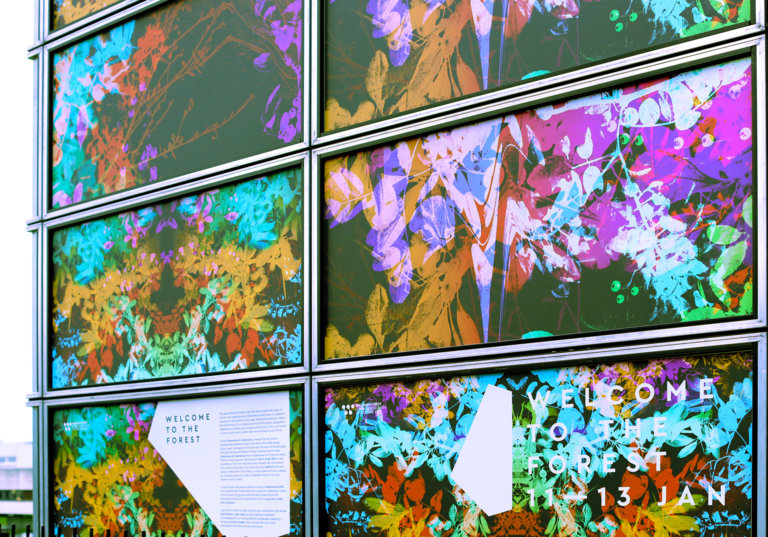 welcome to the forest branding