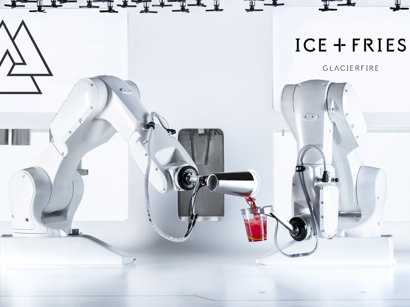 ice and fries bar reykjavik