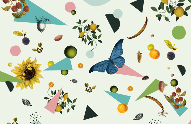 sweet virtues packaging