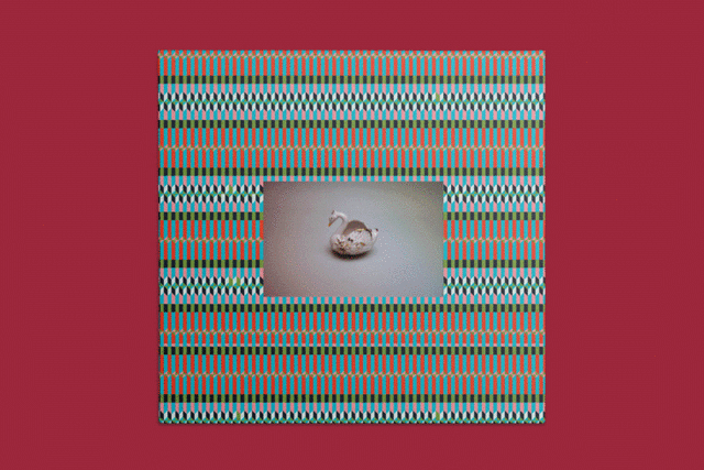 kiky gyan 24 hours in a disco