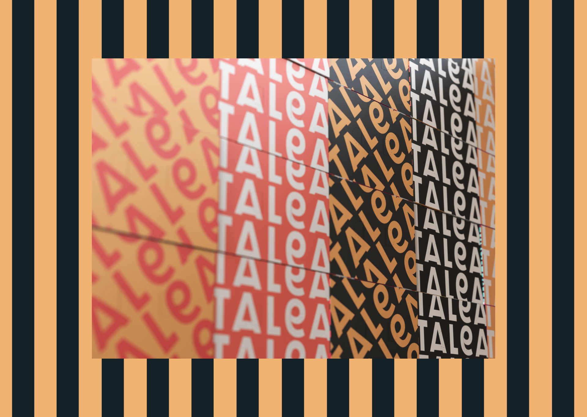 talea beer co boxes