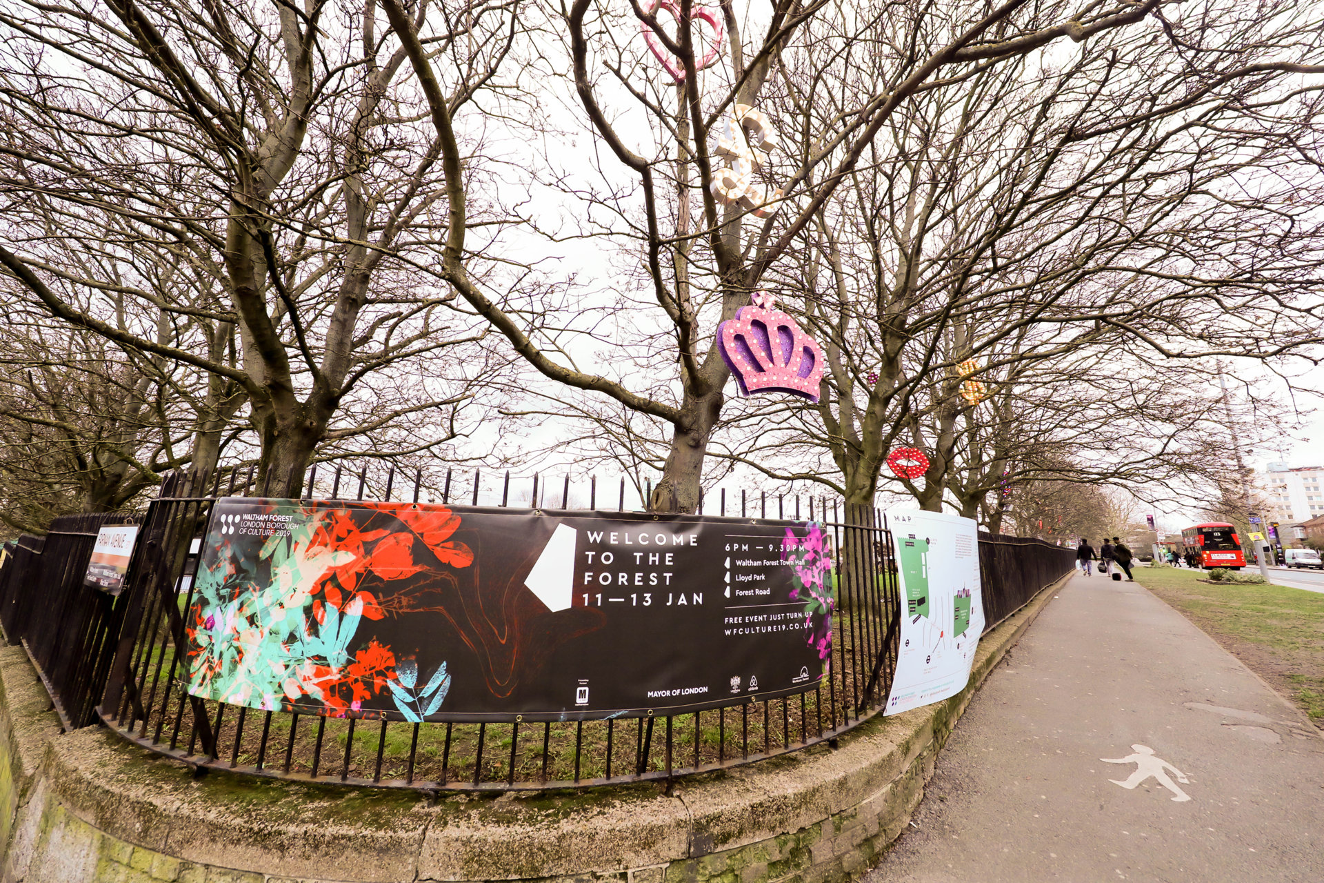 welcome to the forest branding