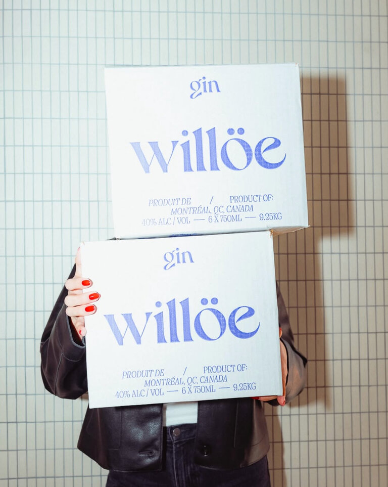willoe boxes flash