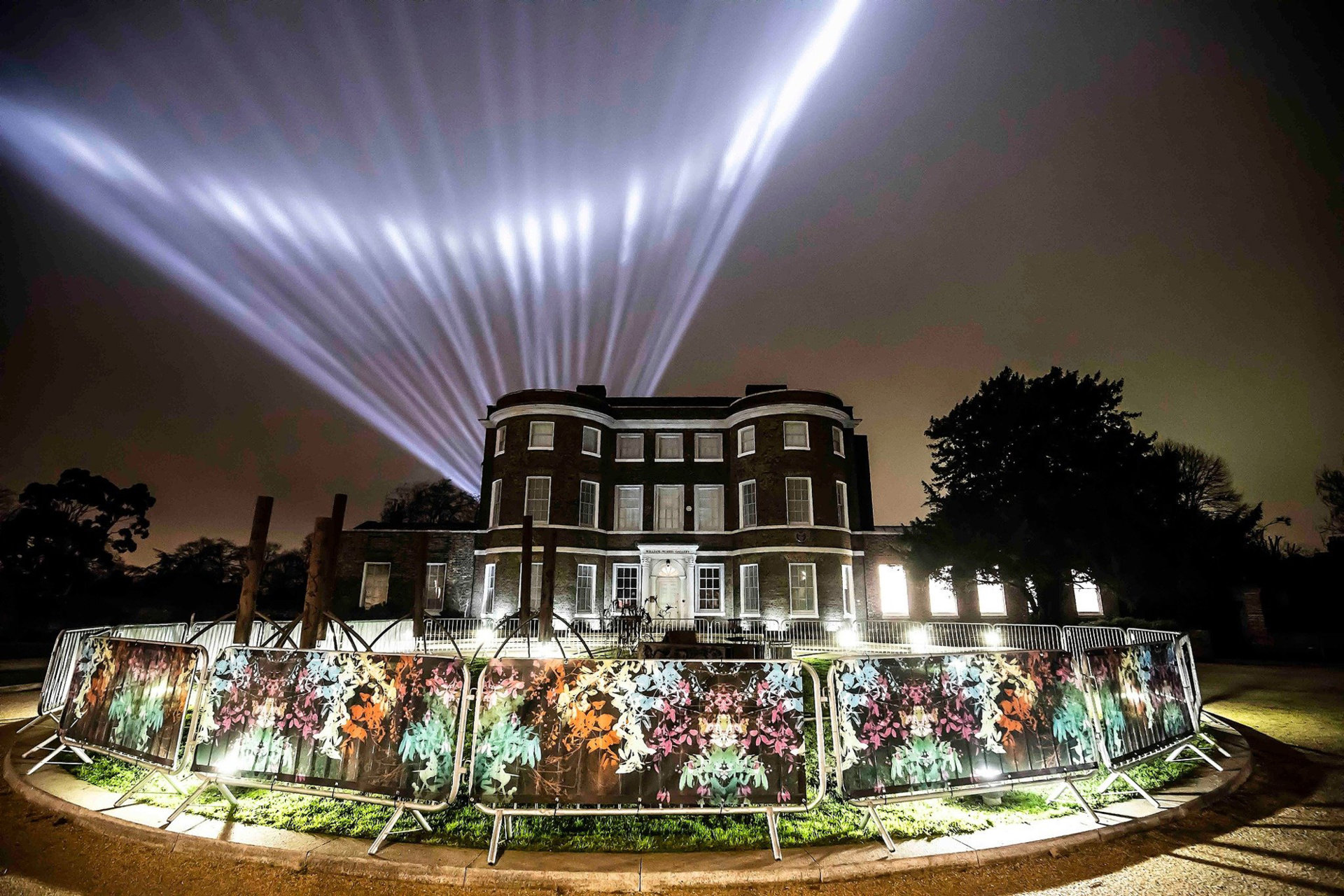 welcome to the forest branding