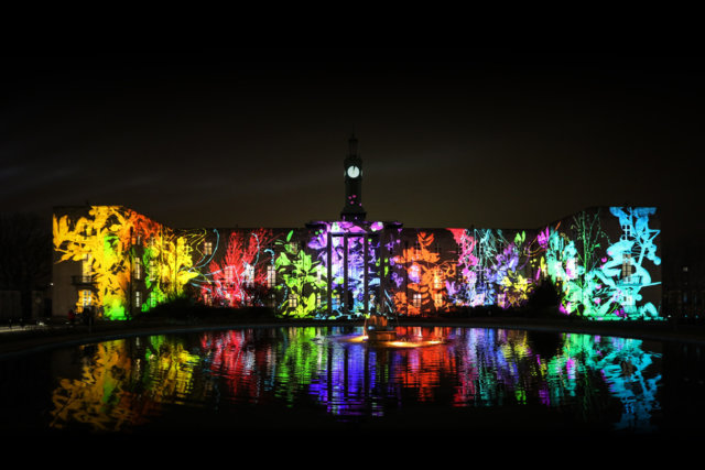 welcome to the forest branding